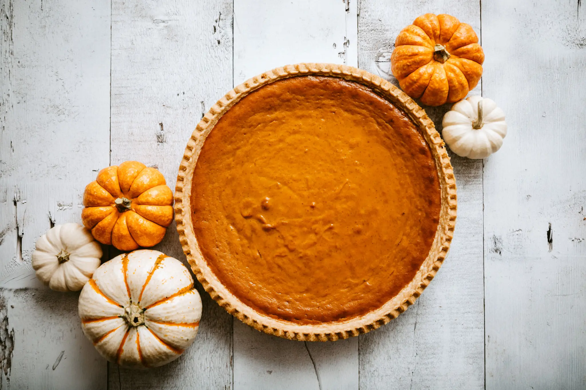 A classic pumpkin pie surrounded by small decorative pumpkins.